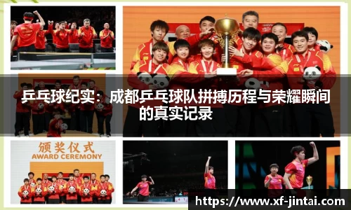 乒乓球纪实：成都乒乓球队拼搏历程与荣耀瞬间的真实记录