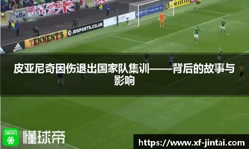 皮亚尼奇因伤退出国家队集训——背后的故事与影响