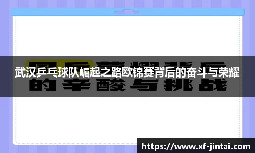 武汉乒乓球队崛起之路欧锦赛背后的奋斗与荣耀