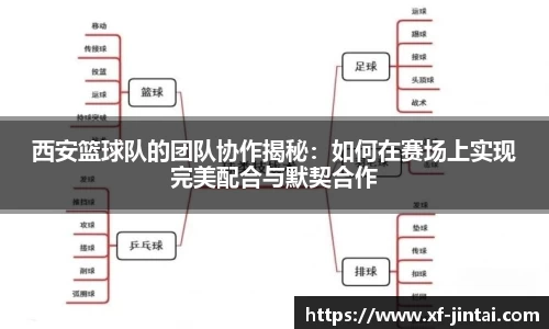 西安篮球队的团队协作揭秘：如何在赛场上实现完美配合与默契合作